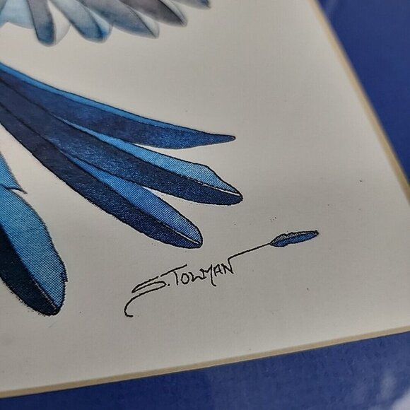 Native Blue Bird Professionally Framed Painting Signed S Towman Art 11.5x14.5 - Picture 2 of 6